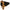 Anzio Spisebordsstol i Sort/Natur fra House Nordic | 57x60x83cm