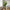 Areca Kunstig Palme i Grøn PE Plastik fra House Nordic | B64xL64xH175 cm