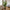 Areca Kunstig Palme i Grøn PE Plastik fra House Nordic | B64xL64xH175 cm