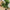 Areca Kunstig Palme i Grøn PE Plastik fra House Nordic | B64xL64xH175 cm