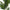 Areca Kunstig Palme i Grøn PE Plastik fra House Nordic | B64xL64xH175 cm