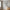Aspen Rammesæt i Sort MDF & Glas fra House Nordic | 3 Rammer