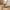 Bakke i Beige Bambus & Capiz fra House Nordic | Ø40xH3,5 cm
