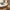 Bakke i Beige Bambus & Capiz fra House Nordic | Ø40xH3,5 cm
