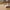 Bakke i Natur Travertin fra House Nordic | L30,5xB15xH3 cm