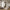 Bega Spejl i Beige Fyrretræ & Glas fra House Nordic | L89xB4xH180 cm