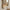 Bega Spejl i Beige Fyrretræ & Glas fra House Nordic | L89xB4xH180 cm