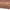 Blizzard Loungestol Rosewood Stof Drejefunktion Horisontal