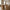 Boavista Spisebord i Natur MDF fra House Nordic | B100xL210xH75 cm