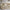 Børneseng Modulo Up i Massivt Fyrretræ fra Raw Kids, billede 5 fra Unique Beds, Home & Living
