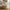 Bonn Sofabord i Natur Fiberclay med Rillet Base fra House Nordic | Ø75xH37 cm