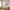 Bosaro Spejl i Hvid Teddy fra House Nordic | L80xB54 cm