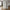 Brisbane Smalt Vitrineskab i Hvid Stål & Glas fra House Nordic | B40xD35xH140 cm