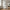 Brisbane Smalt Vitrineskab i Hvid Stål & Glas fra House Nordic | B40xD35xH180 cm