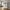 Brisbane Vitrineskab i Hvid Stål med 2 Glaslåger fra House Nordic | B80xD40xH101 cm