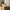 Bristol LED Lampe i Hvid PP med Strop fra House Nordic | Ø17xH21 cm