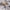 Brooke Spisebordsstol Beige Stof Drejefunktion Stel