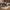 Brooke Spisebordsstol Beige Stof Drejefunktion Stel