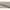 Brooke Spisebordsstol Armlæn Beige Actona