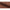 Calvin Spisebordsstol Armlæn Terracotta Actona
