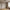 Cholet Pendel i Sort/Klar Glas & Metal fra House Nordic | Ø15xH120 cm