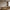 Cholet Pendel i Sort/Klar Glas & Metal med 5 LED fra House Nordic | B125xL15xH150 cm