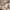 Cholet Pendel i Sort/Klar Glas & Metal med 5 LED fra House Nordic | B125xL15xH150 cm