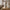 Croft Bordlampe i Sand Fiberclay fra House Nordic | Ø30xH46 cm