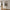 Dekorationsstige i Natur Teaktræ fra House Nordic | B50xL5xH150 cm
