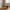 Derby Loungestol i Natur PE Rattan & Ben i Natur Teaktræ fra House Nordic | B60xL80xH73 cm