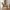 Derby Loungestol i Natur PE Rattan & Ben i Natur Teaktræ fra House Nordic | B60xL80xH73 cm