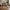 Derby Loungestol i Natur PE Rattan & Ben i Natur Teaktræ fra House Nordic | B60xL80xH73 cm
