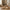 Derby Loungestol & Skammel i Natur Teaktræ & PE Rattan fra House Nordic | 1 Loungestol & 1 Skammel