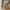 Derby Loungestol & Skammel i Natur Teaktræ & PE Rattan fra House Nordic | 1 Loungestol & 1 Skammel