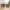 Desio Kurve i Natur Bananflet fra House Nordic | 2 Kurve