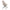 Dokka Spisebordsstol i Sand med Sorte Ben fra House Nordic | L57.5xB52xH87.5cm