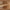 Produktbillede af Idun TV-bord Bred i Massiv Egetræ, Olieret Model 07 (B185xD44xH60cm) fra UniqueBeds Home and Living