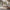 Eilis Sovesofa – miljøbillede – fra Unique Beds, Home & Living