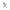 Ella Spisebordsstol Beige Stof Stel Sort