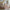 Basic Alto Plus Børneseng med Skuffe i Limet Fyrretræ i Flere Farver fra Raw Kids i farven Retro pink – fra Unique Beds, Home & Living