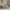 Basic Bello Børneseng i Limet Fyrretræ i Flere Farver fra Raw Kids i farven Toffee – fra Unique Beds, Home & Living