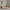 Basic Bello Duo Børneseng med Midterindgang i Limet Fyrretræ i Flere Farver fra Raw Kids i farven Klar lak – fra Unique Beds, Home & Living