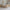 Basic Classic Børneseng i Limet Fyrretræ i Flere Farver fra Raw Kids i farven Klar lak – fra Unique Beds, Home & Living