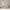 Basic Fello Duo Børneseng med Midterindgang i Limet Fyrretræ i Flere Farver fra Raw Kids i farven Retro pink – fra Unique Beds, Home & Living