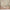 Basic Fello Duo Plus Børneseng med Midterindgang og Skuffe i Limet Fyrretræ i Flere Farver fra Raw Kids i farven Retro pink – fra Unique Beds, Home & Living