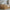 Basic Love Plus Børneseng med Skuffe i Limet Fyrretræ i Flere Farver fra Raw Kids i farven Toffee – fra Unique Beds, Home & Living