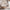 Bello Husseng i Limet Fyrretræ i Flere Farver fra Raw Kids i farven Klar lak – fra Unique Beds, Home & Living