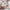 Bello Husseng i Limet Fyrretræ i Flere Farver fra Raw Kids i farven Retro pink – fra Unique Beds, Home & Living
