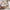 Bello Husseng i Limet Fyrretræ i Flere Farver fra Raw Kids i farven Toffee – fra Unique Beds, Home & Living