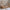 Bello Duo Husseng med Midterindgang i Limet Fyrretræ i Flere Farver fra Raw Kids i farven Toffee – fra Unique Beds, Home & Living